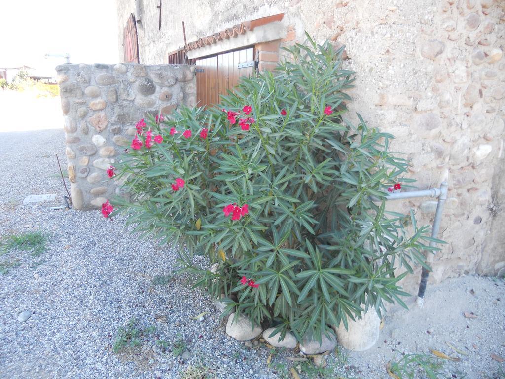 Agriturismo Le Mura Del Gherlo Villa วาเลจโจ ซูล มินโช ภายนอก รูปภาพ
